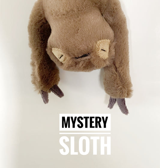 Mystery Sleepy Sloth